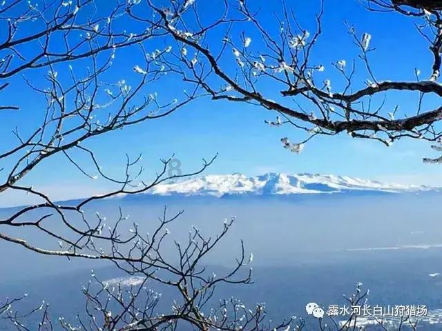 熊出没百层大冒险