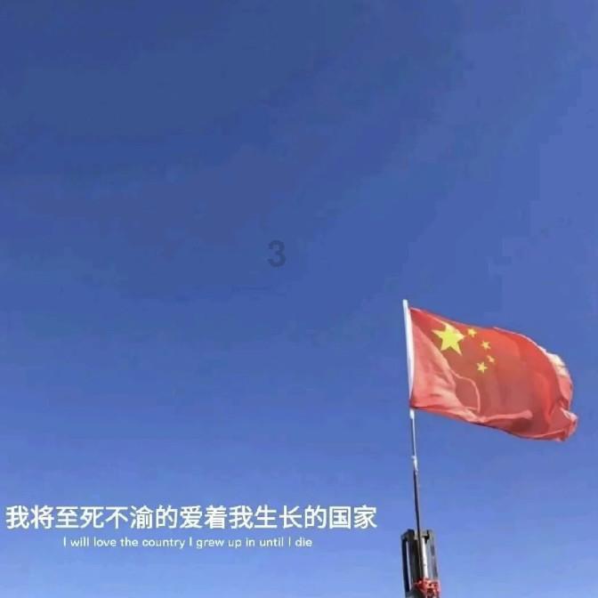逃离金刚鹦鹉森林