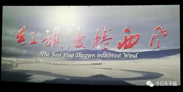 可爱抵万金 “大熊猫热”带火的不只是成都
