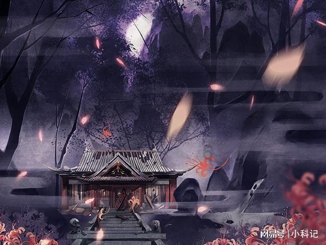 我的老师是偶像